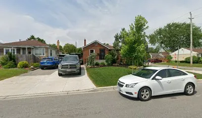 Wood Deckers